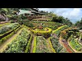 CEBU’S MOST VISITED GARDEN: BUWAKAN NI ALEJANDRA| PHILIPPINES