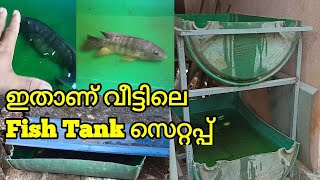 Plastic Barrel Fish Tank | ഡ്രം ഫിഷ് ടാങ്ക് | കുറഞ്ഞ ചിലവിൽ ഉള്ള ഫിഷ് ടാങ്ക്