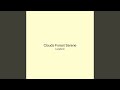 Clouds Forest Serene