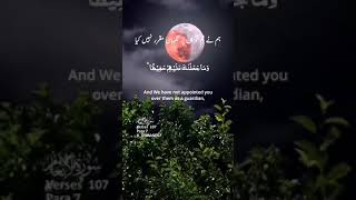 Surah Al-Anam | القرآن الكريم | English Urdu Translation Video Status QuranEKareem786 R_Usman007