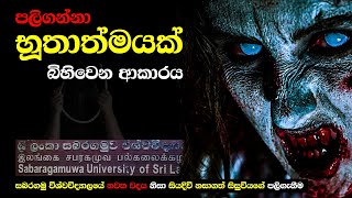 ගුප්ත විද්‍යාවට අනුව පලිගන්නා භූතාත්මයක් බිහිවෙන අයුරු - අමාලිගේ අධිඅස්වාභාවික මිනීමැරුම් නඩුව