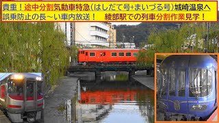 今や貴重！途中分割の気動車特急【はしだて号+まいづる号】京都から城崎温泉へ　誤乗防止のための長～い車内放送　綾部駅での列車分割作業見学！復路は【はまかぜ号】で