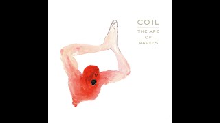 Coil - Triple Sun (Ten Minute Version)