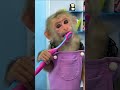 baby monkey brushing teeth #monkey #top #animals #trending #cute #funny