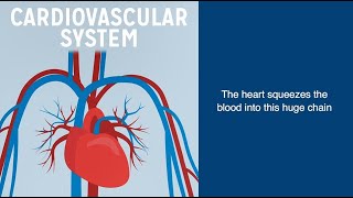 What Is Hypertension And How Is It Treated?