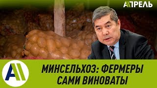 Минсельхоз КР: фермеры сами виноваты в убытках \\\\ 14.02.2019 \\\\ Апрель ТВ