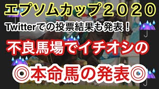 【エプソムカップ2020】不良馬場でもイチオシの馬がいる？！本命馬を発表します！【予想動画】