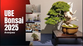 Exposición UBE bonsai 2025 + mercadillo