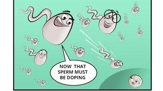 Spermbanter : What 3 Things Make Sperm More Fertile by Dr. Fertility