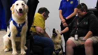 Comfort Dog Joins New Hampshire 911 Call Center Team