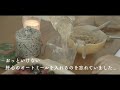 日常vlog｜モーニングルーティン｜小さな幸せ猫とニワトリと過ごす朝｜畑でブラックベリー収穫｜夏野菜の様子｜bmpcc６k