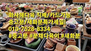 화사해다육 직배/카드가능!중고분/새화분특가세일!010-7528-8334 #중고분 #분채다육이 #새화분