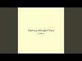 Harmony Midnight Forest