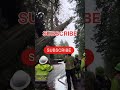 87 meters huge tree cutting😱🪵