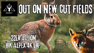 MFL Outdoors - Foxing \u0026 Rabbiting on freshly cut fields || Hikmicro Alpex 4K LRF || Pulsar XQ38F