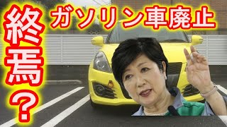 終焉？　ガソリン車廃止　環境問題？　スイフトスポーツ　ZC32S