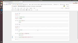 Python 2.7 Print, raw input