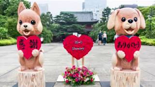 動物慰霊祭大法要【2019年】ペット霊園 川崎 横浜 東京の平和会ペットメモリアルパーク