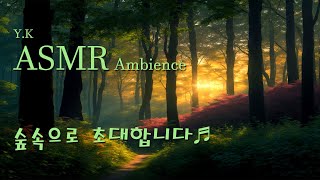 잠을 못 자고 있나요, 숲속으로 초대합니다 🌳 숲소리 I ASMR Ambience Music