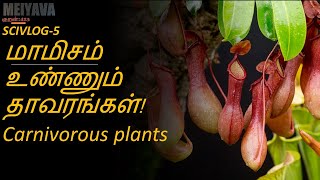 SCIVLOG-5: மாமிசம் உண்ணும் தாவரங்கள்! How \u0026why carnivorous plants eat animals? #Meiyava423 #Nirmal