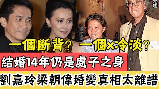 梁朝偉的噩夢！那個女人又出現了！輕鬆征服劉嘉玲卻被藏了20年，今突然高調現身內幕曝光，天王的好日子到頭了#辣評娛圈