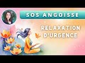 Relaxation d'urgence pour apaiser les émotions : Crise d'angoisse - Anxiété - Attaque de panique