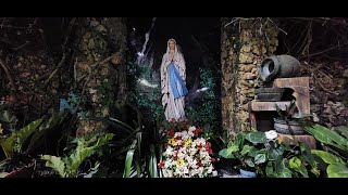 Clôture de la Neuvaine en Honneur de Notre Dame de Lourdes (Soisson) /// Lundi 10 Fevrier 2025.