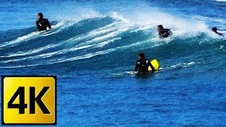 【湘南乃風と波】Shonan beach / Surfing shore