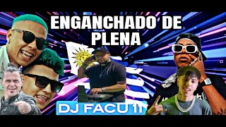 ☀️🧉Enganchado de plena🎵🎧2025 DJ FACU 11 las mas escuchadas🇺🇾