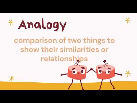 What are the four types of analogy?