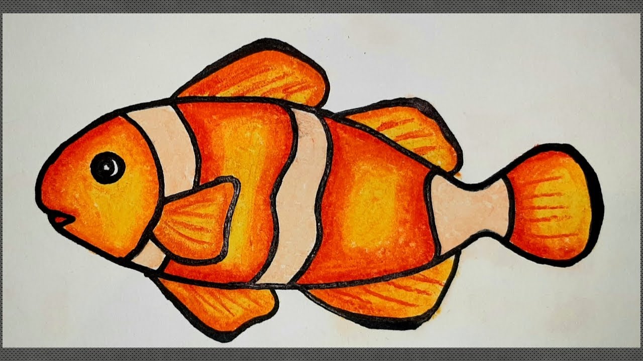 How To Draw A Fish