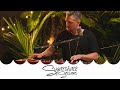 Indubious - See Sharp (Live Music) | Sugarshack Sessions