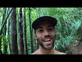 manoa falls trail kid friendly hikes things to do on oahu hawaii waterfalls