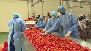 Transformation de tomate : le Capitaine Ibrahim Traoré visite les installations de la SOFATO