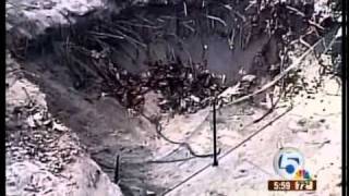 Construction crew finds'historic' human bones
