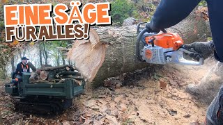 STIHL in ACTION | Ein ganz schöner Haufen! | Der LETZTE ANGRIFF |. MS261 | Yanmar C10R | Mr. Moto