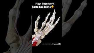 hath kese work karta hai 👆#shorts #facts #youtubeshorts #ytshorts