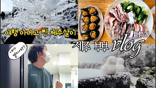 제주살이 EP.8 | 제주 한라산 눈꽃세상 | 제주도 구좌읍 비자림 | 그리고 눈물겨운 멸치 탈출 기록 vlog