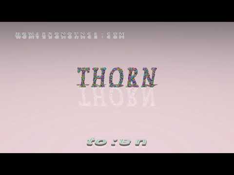 How do you use thorn in a sentence?