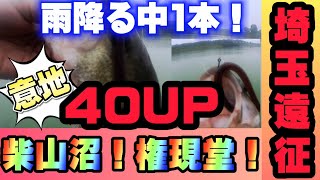 【埼玉遠征】権現堂！柴山沼！初場所で40UPGET！堅実に狙う！房総半島からの挑戦 バス釣り BASSfishing