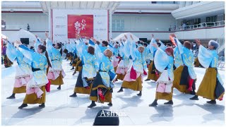 【4K】法政大学鳳遙恋 2022 「天鳴」  [にいがた総おどり2022 万代2Fシーキューブ未来広場]  Hoyoren 2022 ''Tenmei''