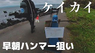 ケイカイ　伊豆大島ハンマーヘッドシャーク　ダイビング