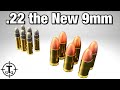 Did the Ammo Shortage make .22LR  the new 9MM??