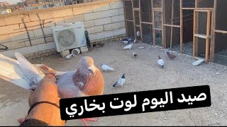 صيد اليوم لوت بخاري🕊️وحط علي احمر حافي وما كضيته☹️