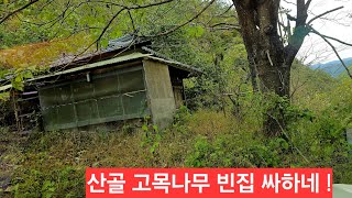 대낮인데 등골이 오싹한 산골의 빈집한채 분위기기 뭔가 좋지않다 할아버지 떠난후 폐가 ''