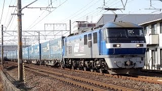 JR貨物 EF210-133 トヨタロングパスエクスプレス(2050レ 桃太郎) 三河三谷駅