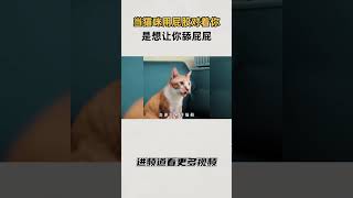 猫咪屁股对着你，是想让你帮它舔屁屁#知识 #趣闻 #历史