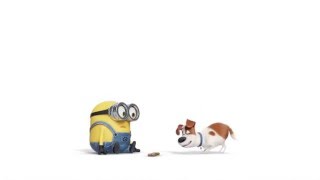 Minions - Bob \u0026 Puppy HD