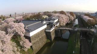 さくら満開の霞城・東大手門（空撮ドローン）・山形市