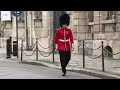 LIVE British Grenadiers join Republican Guards for Elysee changing of the guard in Paris
